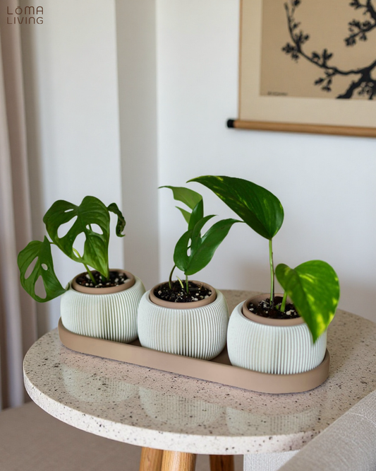 Trio Planter Set