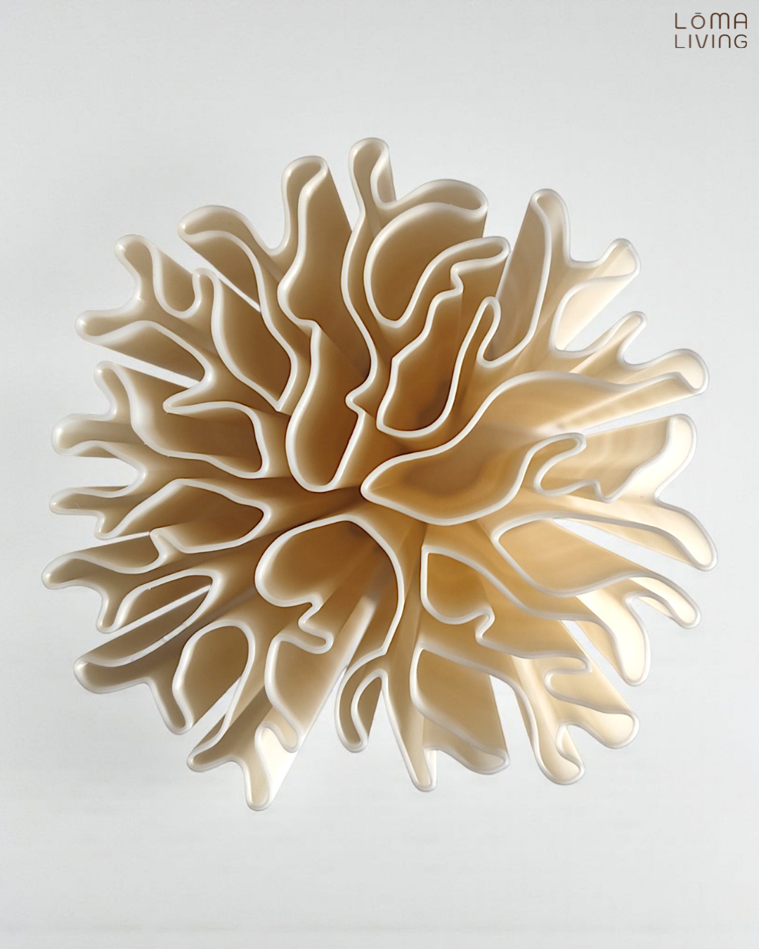 Coral Vase