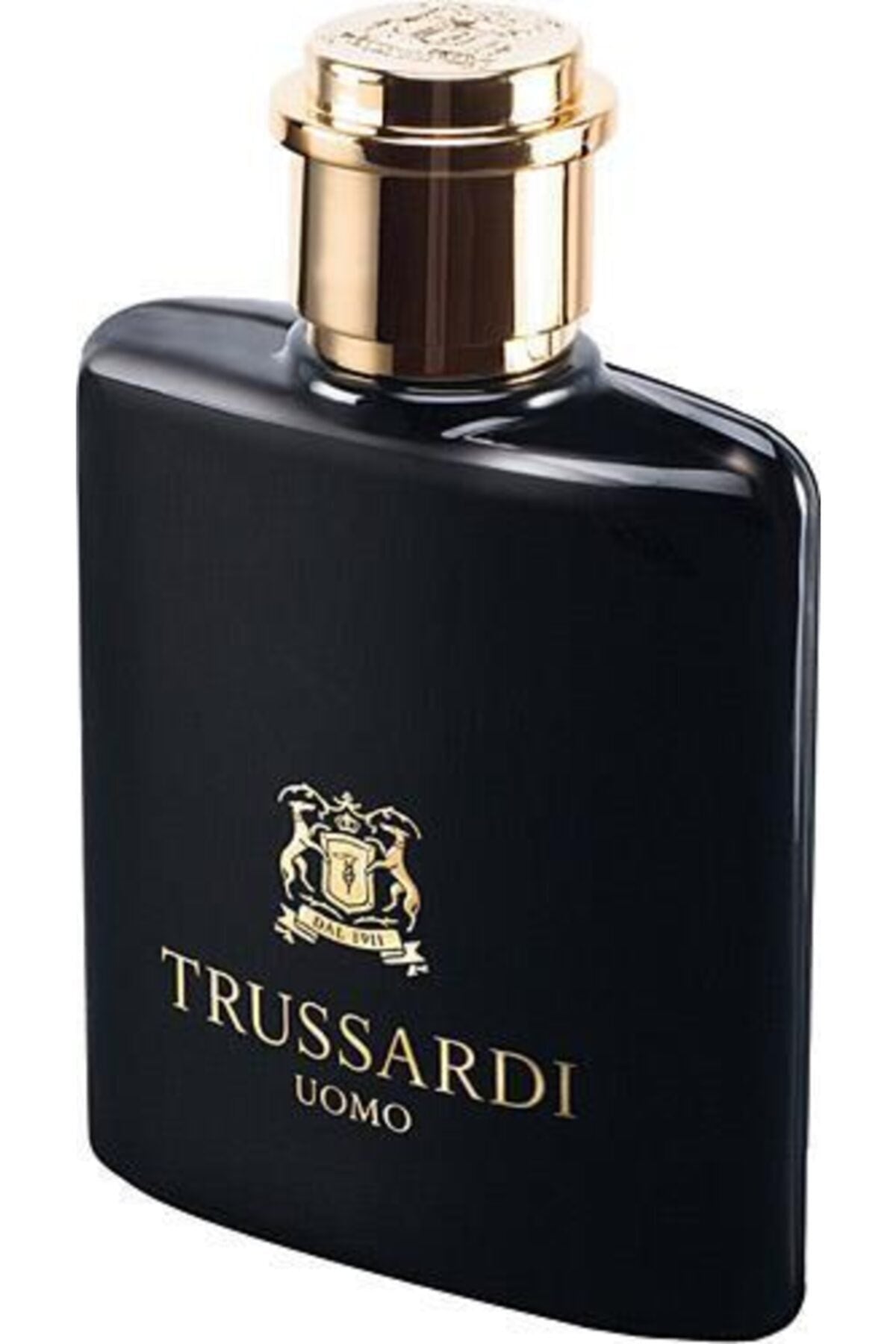 Trussardi Uomo Eau De Toilette For - perfume for men, 100 ml